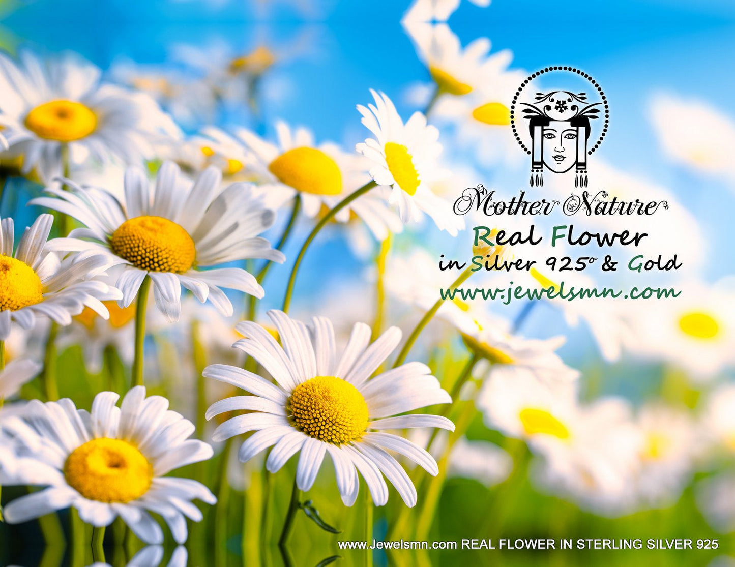 Décor floral de marguerites avec logo « Mother Nature » et mention Real Flower