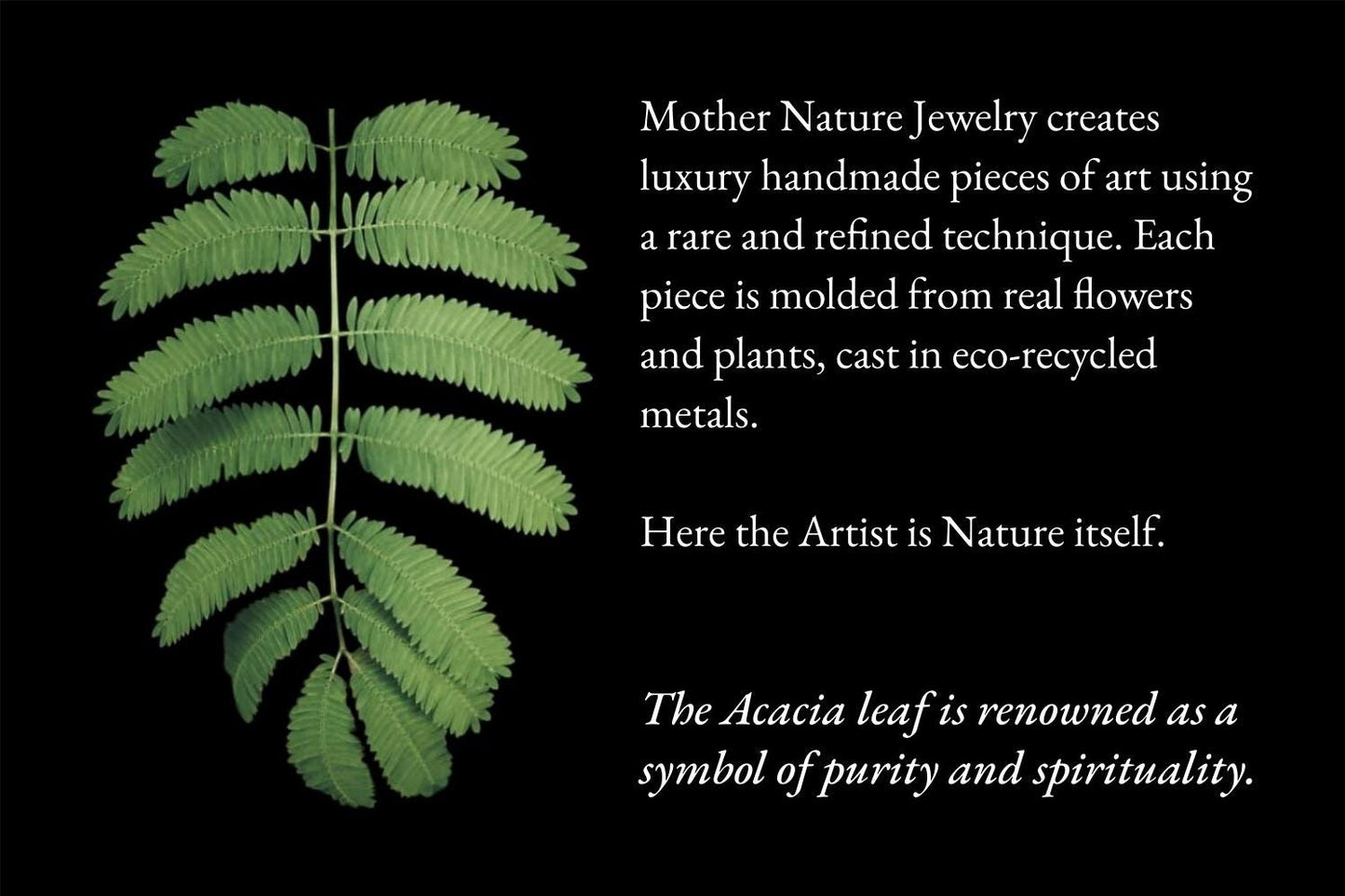 Illustration de feuille verte sur carte promotionnelle Hemys, texte en anglais